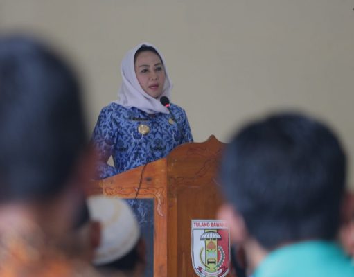 Kabupaten Tulang Bawang Serahkan Pagu Indikatif Dana Kampung Dan Alokasi Dana Kampung(DK dan ADK)