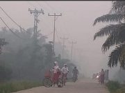 Kabut Asap Di Pekanbaru Masih Parah