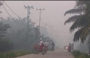 Kabut Asap Di Pekanbaru Masih Parah