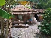 Seorang Nenek di Kecamatan Cukuh Balak Kondisinya Memprihatikan dan Tinggal di Sebuah Rumah Tidak Layak Huni,Tanpa Tersentuh Bantuan Pemerintah