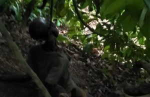 Warga Kota Agung Tanggamus Temukan Mayat Tergantung Di Pohon Manggis