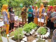 Ketua Penggerak (TP) PKK Kabupaten Tanggamus Hj. Sri Nilawati Syafi’i Tinjau Persiapan Lomba P3KSS Dan GSI