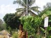 Penyerapan Dana Desa (DD) tahap 1 Di Desa Buko Poso Mesuji Sudah Mencapai sebesar 20 persen