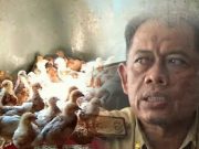 Dinas Perternakan PemKab Tubaba Diduga Mark Up Anggaran