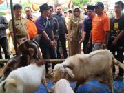 Bupati Tanggamus Hj.Dewi Handajani, SE.MM Buka Bazar Hewan Kurban