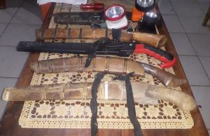 Setelah 9 Hari, Tersangka Curas Ditangkap Polres Tanggamus, Resmob Polda Lampung Dan Polres Lampung Barat