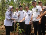 Bupati Tanggamus Hadiri Kegiatan Penanaman Bibit Buah