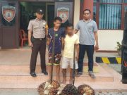 Polsek Lambu Kibang Tubaba Tangkap Dua Pelaku Curat