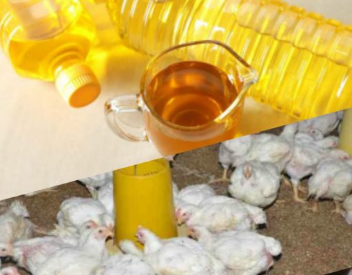 Menjelang Natal & Tahun Baru 2020, Di Tubaba Berbagai Bahan Dapur Meroket