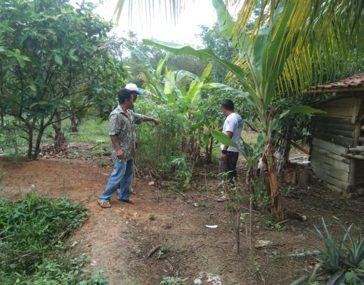 Aksi Heroik Kepala Desa Sidomulyo Mesuji Buat Perampok Dirumahnya Kocar – Kacir