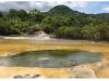 Petisi Dukungan Suoh Lampung Barat Jadi Kawasan Geopark Nasional Viral Di Medsos