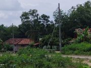 AWAS….!!! Kabel PLN Terlepas Dari Pengamanannya
