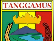 HUT KE-23 KABUPATEN TANGGAMUS TOREHKAN HASIL PEMBANGUNAN UNTUK WUJUDKAN TANGGAMUS YANG TANGGUH, AGAMIS, MANDIRI, UNGGUL DAN SEJAHTERA