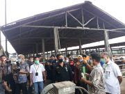 Menteri Pertanian RI Lakukan Kunjungan Kerja Di Kota Metro