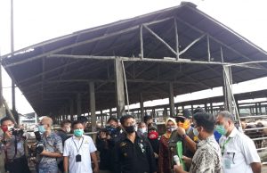 Menteri Pertanian RI Lakukan Kunjungan Kerja Di Kota Metro
