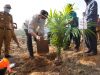 Bupati Tubaba Lakukan Penanaman Perdana Kelapa Sawit Program PKSP