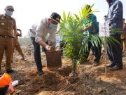 Bupati Tubaba Lakukan Penanaman Perdana Kelapa Sawit Program PKSP