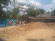 Diduga Kuat Lapak Singkong Di Tiyuh Indraloka Jaya Tubaba Tidak Kantongi Izin