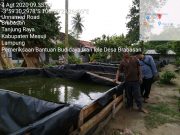 Dinas Kelautan dan Perikanan Mesuji Sukseskan Budidaya Ikan Lele Tahun Anggaran 2020