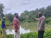 Adanya Postingan Buaya Besar Di Muara sungai Pekon Way Rilau Tanggamus Diduga Bohong/Hoax