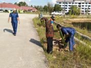 Pemkab Mesuji Sambut HUT Ke-12 Dengan Lakukan Tanam Pohon Di Komplek Pemda