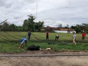 Pemuda Penumangan Baru, Perbaiki Fasilitas Olahraga Lapangan Voli