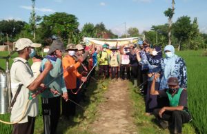 Dukung Program Pemkab Ponorogo, Poktan Bancaran Gelar Gerakan Aplikasi POC