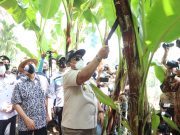 Gubernur Lampung Dampingi Kunker 2 Menteri Kabinet Indonesia Maju