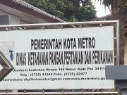 Anggaran Dinas Pertanian Kota Metro Di Sikat 1,1 Milyar