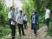 Anggota DPRD Tanggamus Tri Wahyuningsih Tinjau Lokasi Jembatan Gantung