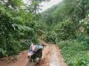 Akibat Curah Hujan Tinggi, Beberapa Titik Jalan Tertimbun Longsor
