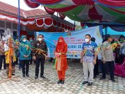 Bupati Tanggamus Hadiri Launching Tower BTS ( Base Transceifer Station) Telkomsel