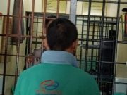 Polres Tanggamus Tangkap Pelaku Pencurian