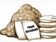 Ups! Oknum Ketua Kelompok Tani di Tiyuh Menggala Mas Diduga Selewengkan Pupuk Bersubsidi