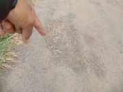 Kualitas Tak Bagus, Jalan Anwar Metro Terkelupas