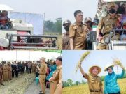 Qudrotul Ikhwan Panen Raya di Kampung Hargo Rejo