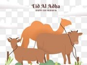 Wakili Insan Pers, Ketua PWI Tubaba Terima dua Sapi Kurban untuk Wartawan