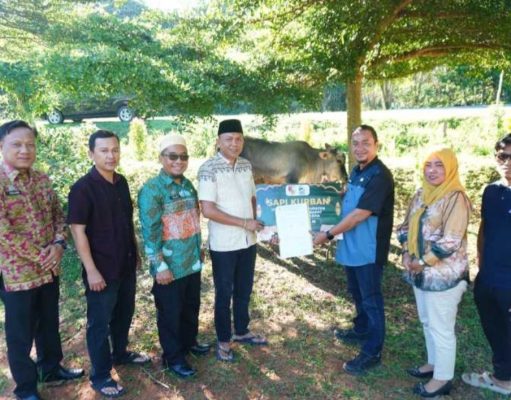 Insan Pers Terima Dua Ekor Sapi Qurban dari Pemkab Tubaba