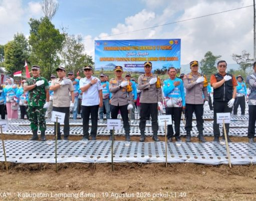 Bupati Lampung Barat Dampingi Kapolda Lampung Tanam Bawang Putih Dukung Swasembada Nasional